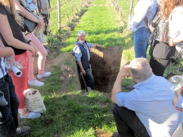Exkursion Wein & Boden: Im internationalen Jahr des Bodens 2015 | Ahabc.de