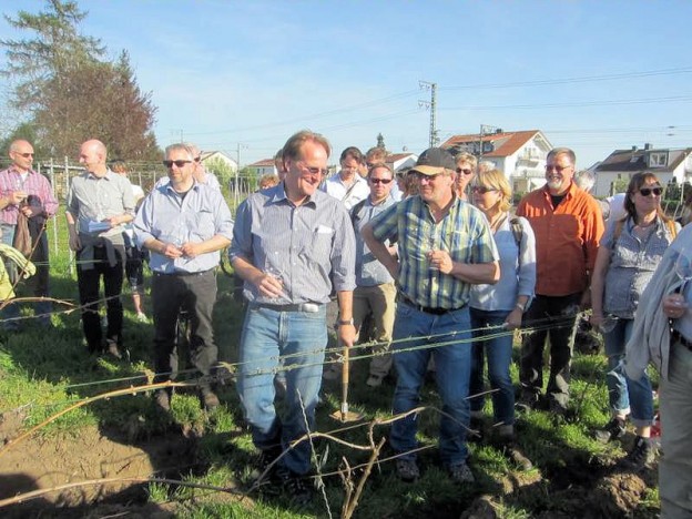 Exkursion Wein & Boden: Im internationalen Jahr des Bodens 2015 | Ahabc.de