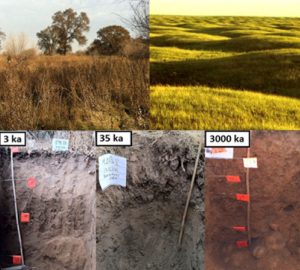 Die Arbeiten wurden an Böden einer Sequenz von Flussterrassen im kalifornischen Central Valley durchgeführt
